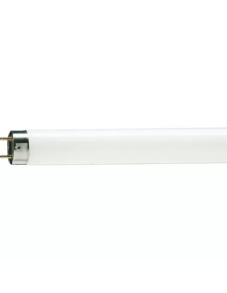 Philips MASTER TL-D 90 De Luxe fluorescent lamp 36 W G13 Warm White